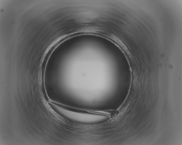 X0000083060939200702161753