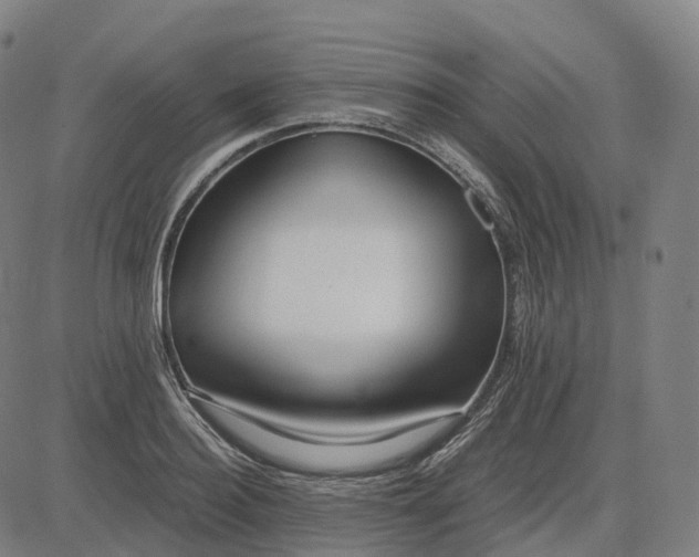 X0000083060940200702161753