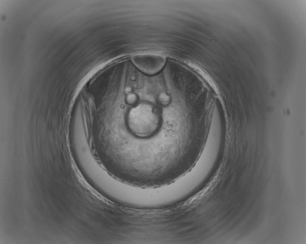 X0000083060941200702161753