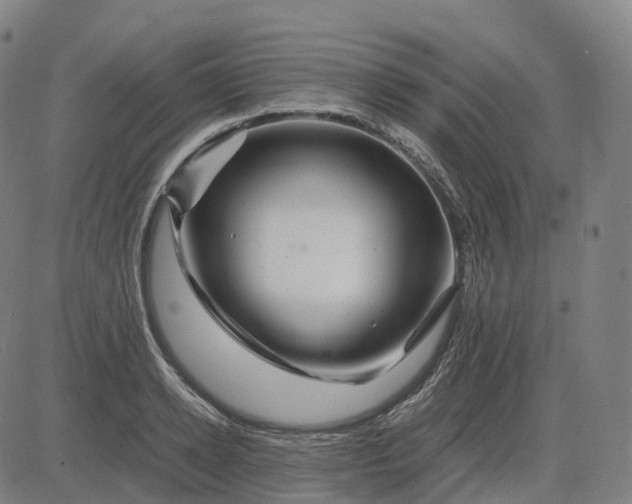 X0000083060942200702161753