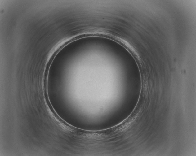 X0000083060943200702161753