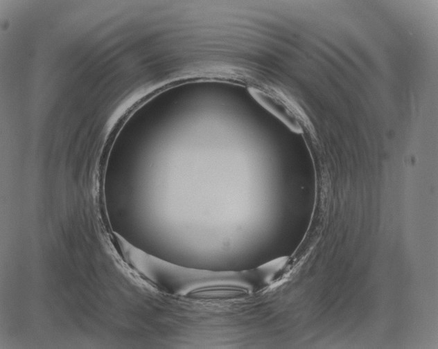 X0000083060944200702161753