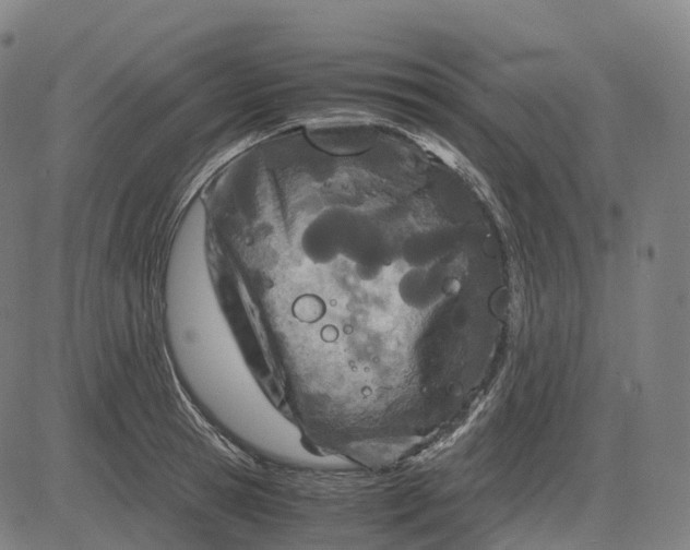 X0000083060945200702161753