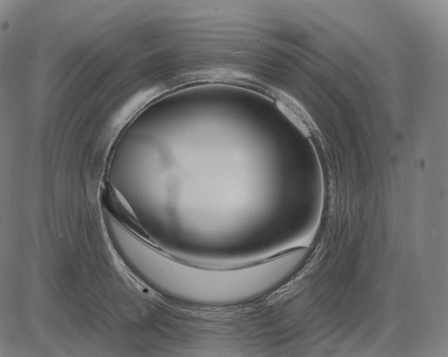 X0000083060946200702161753