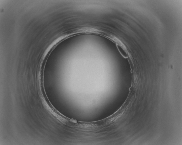 X0000083060947200702161753