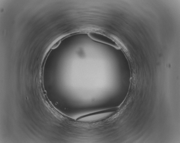 X0000083060948200702161753