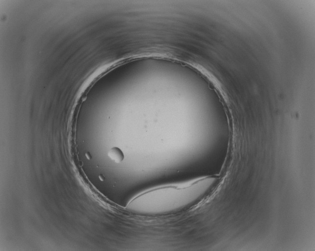 X0000083060949200702161753