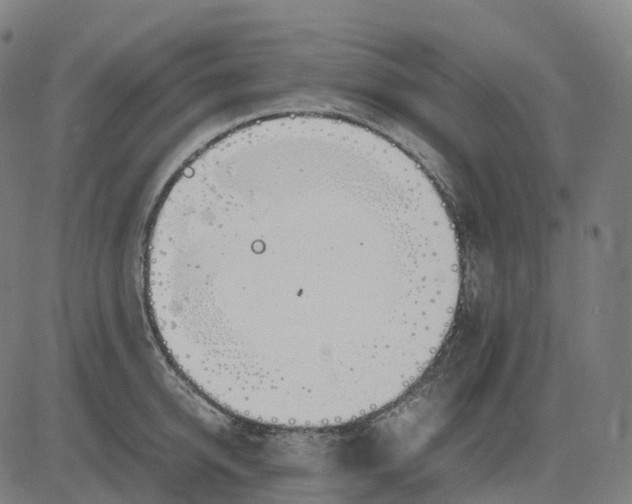 X0000083060950200702161753