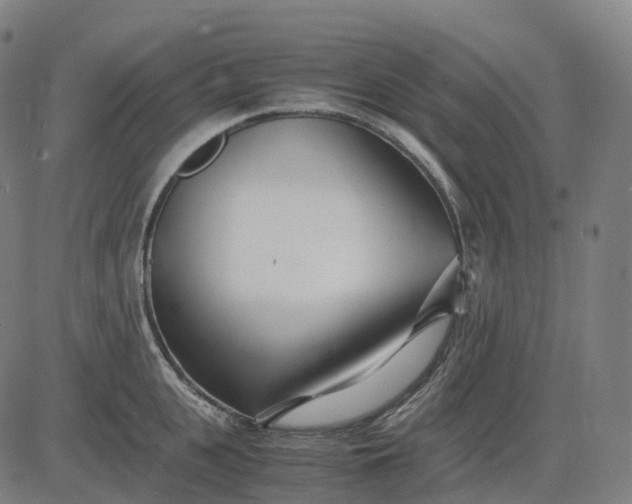 X0000083060951200702161753