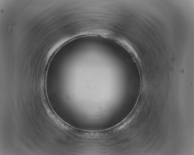 X0000083060952200702161753