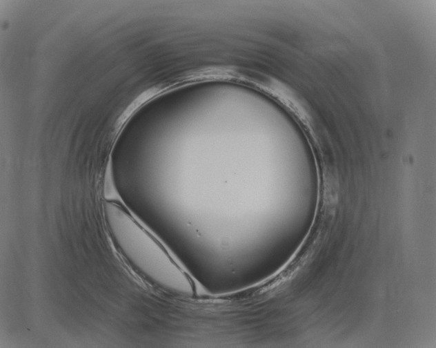 X0000083060953200702161753