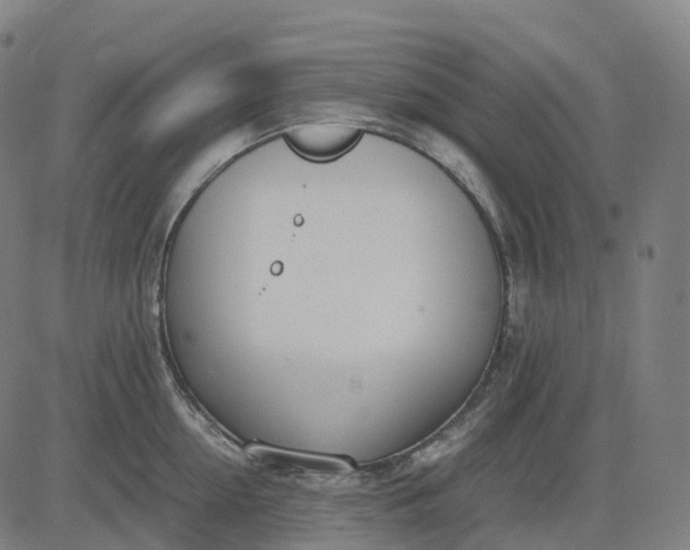 X0000083060954200702161753