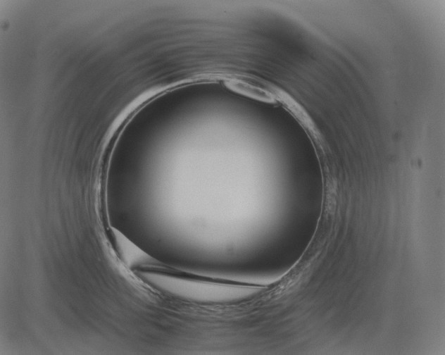 X0000083060955200702161753