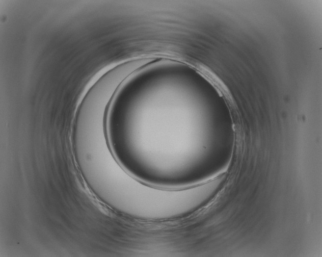 X0000083060956200702161753