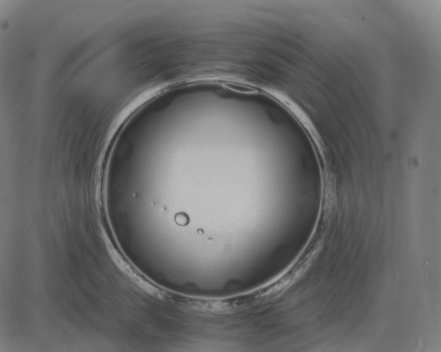 X0000083060957200702161753