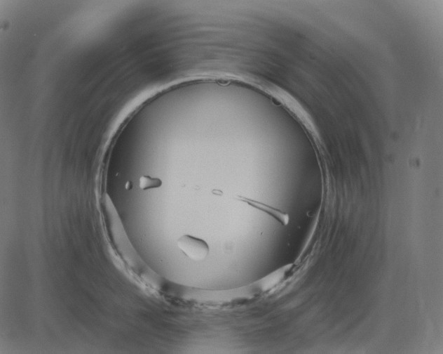 X0000083060958200702161753