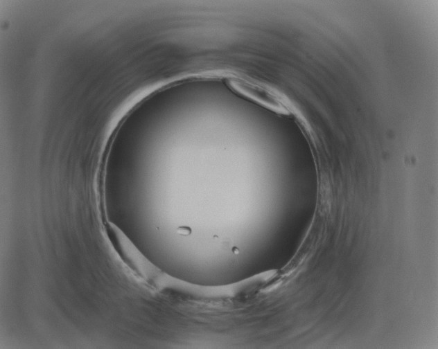 X0000083060959200702161753