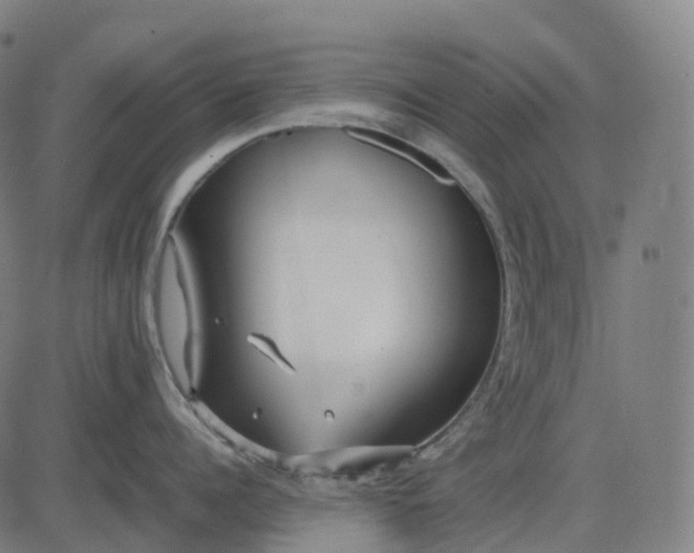 X0000083060960200702161753