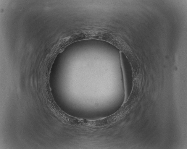 X0000083060961200702161752