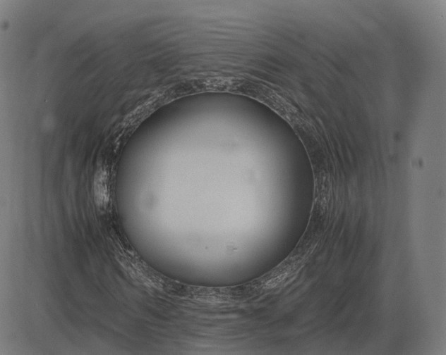 X0000083060962200702161752