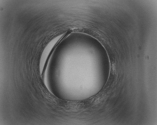 X0000083060963200702161752