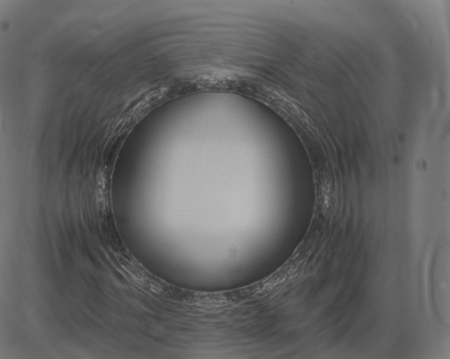 X0000083060964200702161752