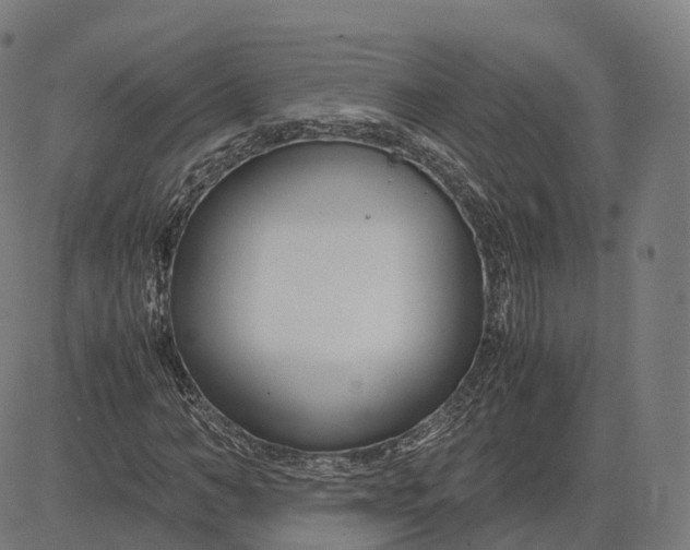 X0000083060966200702161752