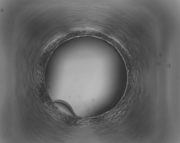 X0000083060967200702161752