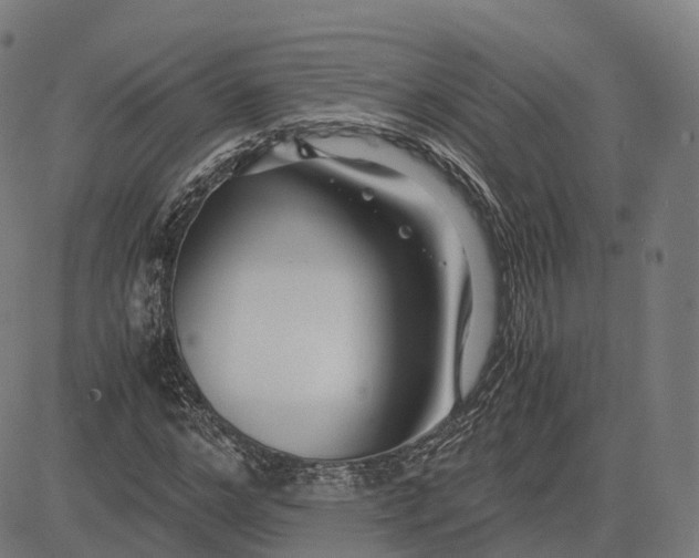 X0000083060968200702161752