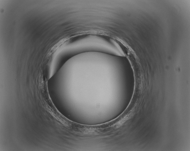 X0000083060969200702161752