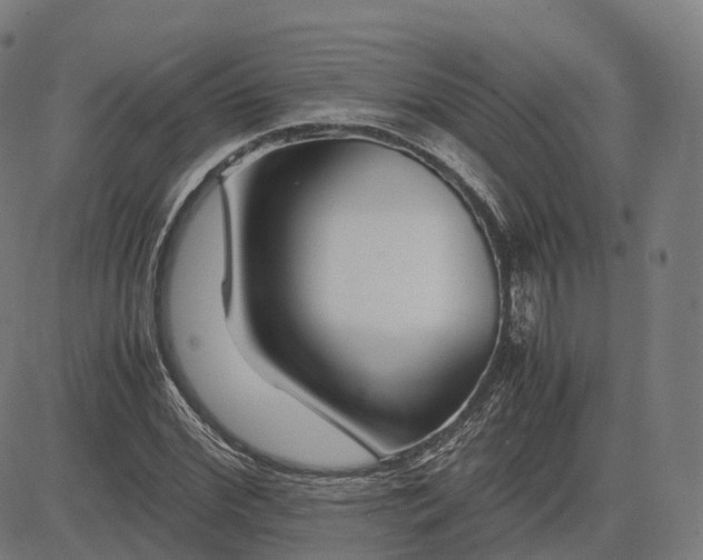 X0000083060972200702161752