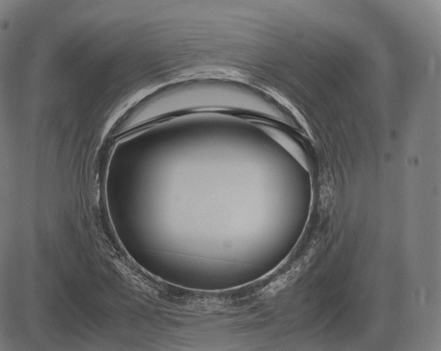 X0000083060973200702161752