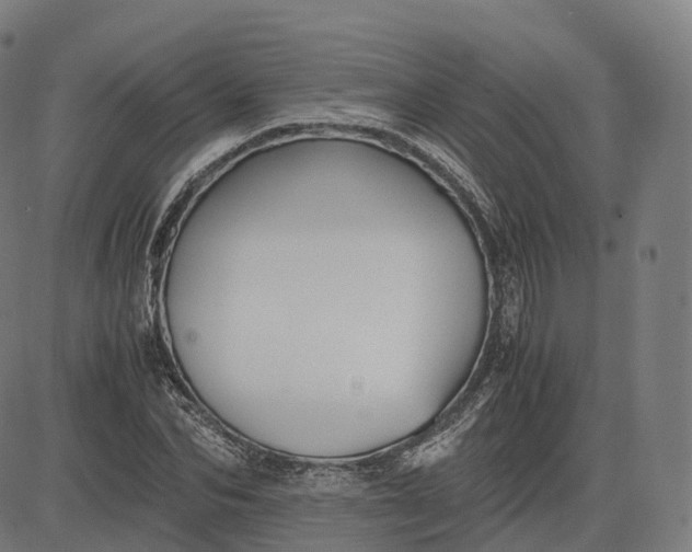 X0000083060974200702161752