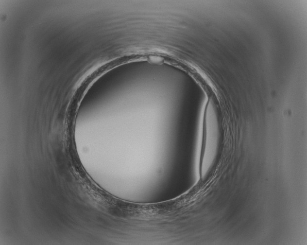 X0000083060975200702161752