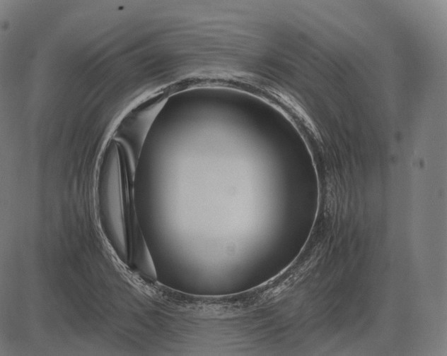 X0000083060976200702161752