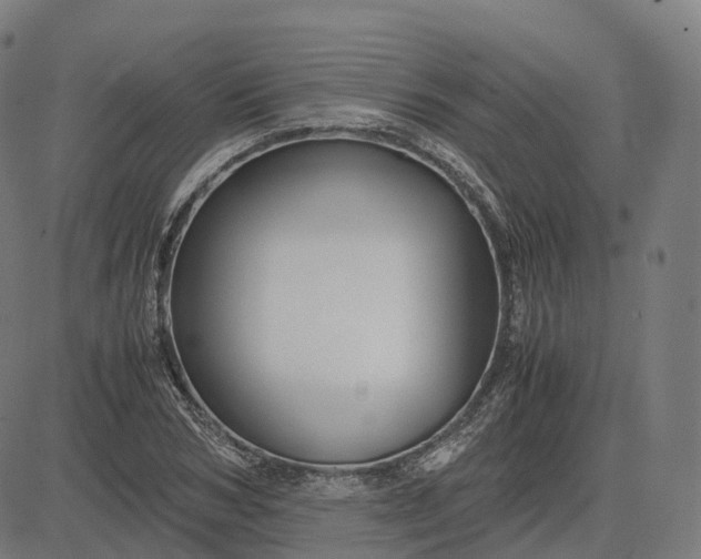 X0000083060978200702161752