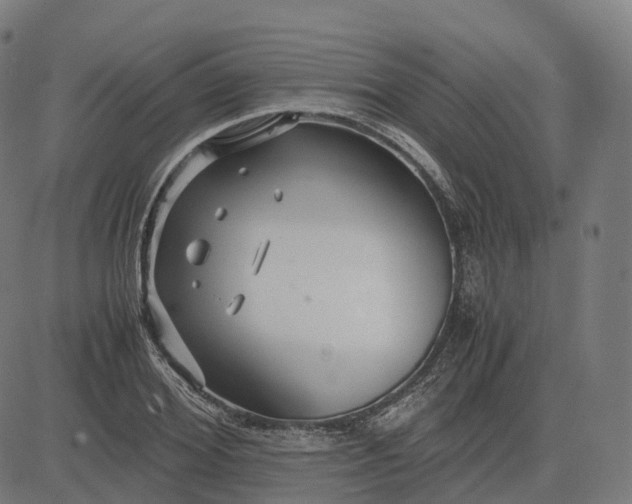 X0000083060980200702161752