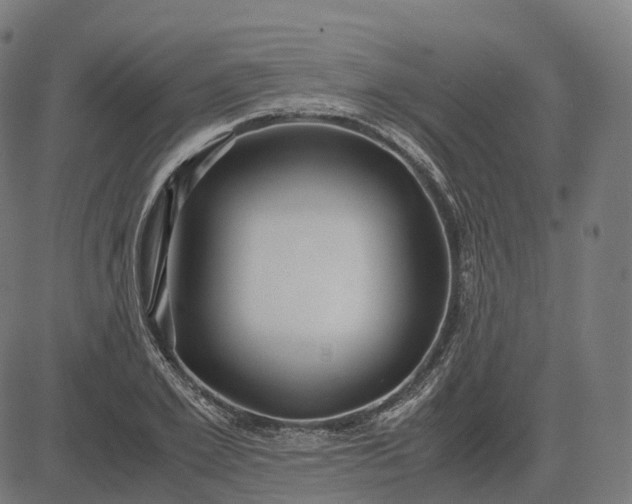 X0000083060981200702161752