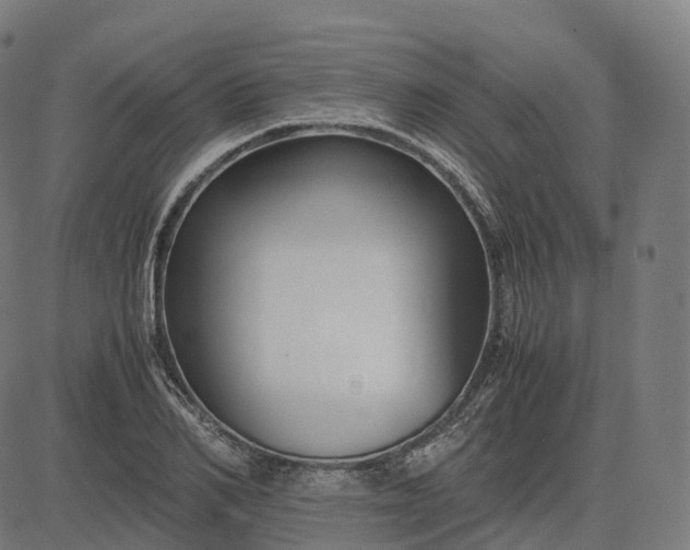 X0000083060982200702161752