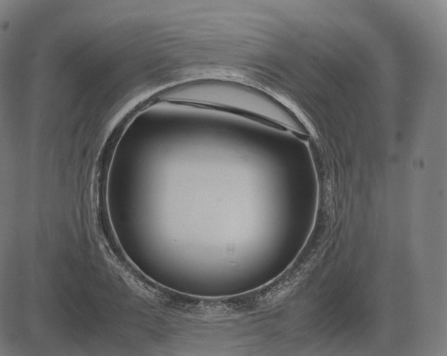 X0000083060983200702161752