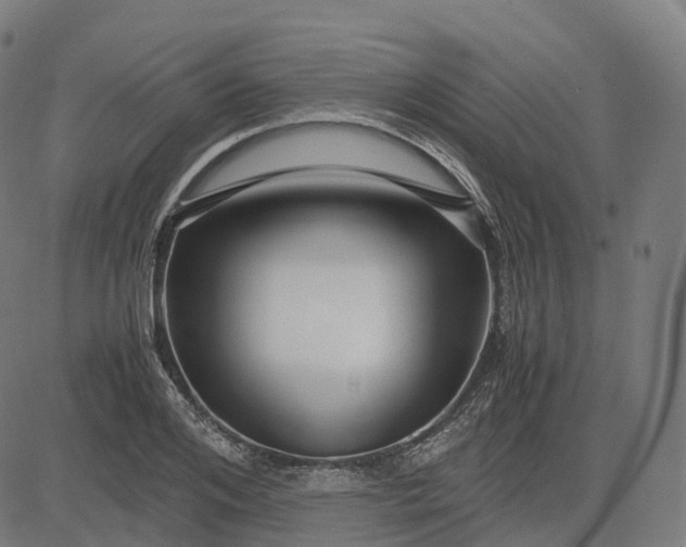 X0000083060984200702161752