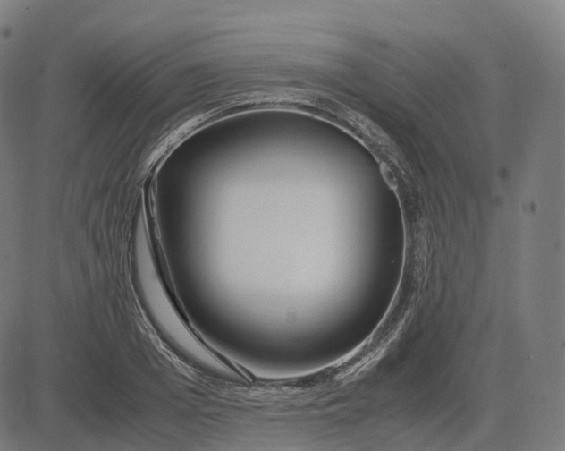 X0000083060985200702161752