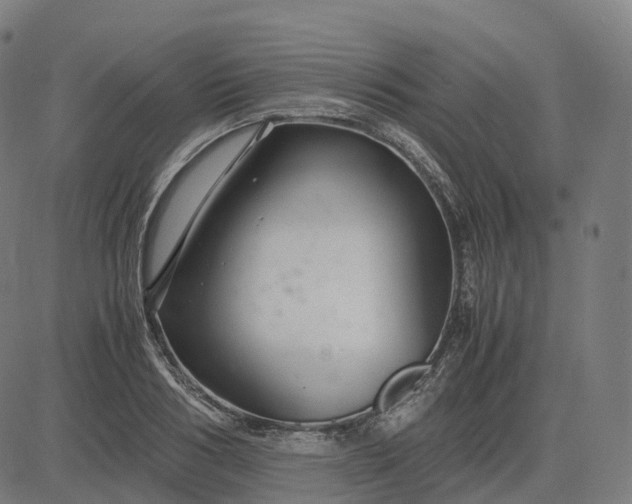 X0000083060986200702161752