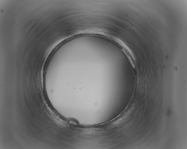 X0000083060988200702161752