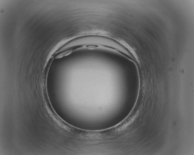 X0000083060989200702161752