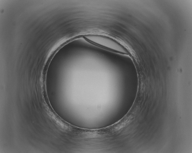 X0000083060990200702161752