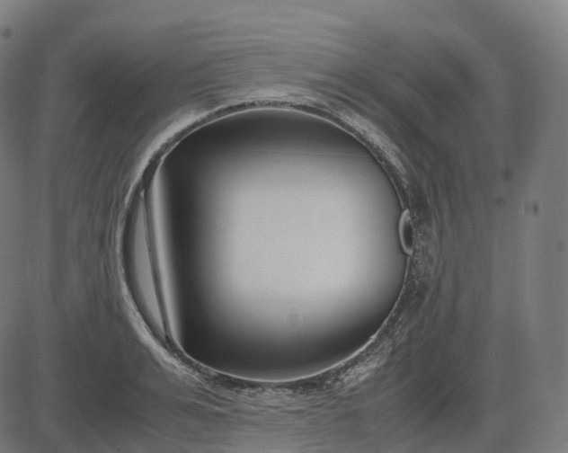 X0000083060991200702161752