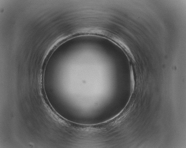 X0000083060992200702161752