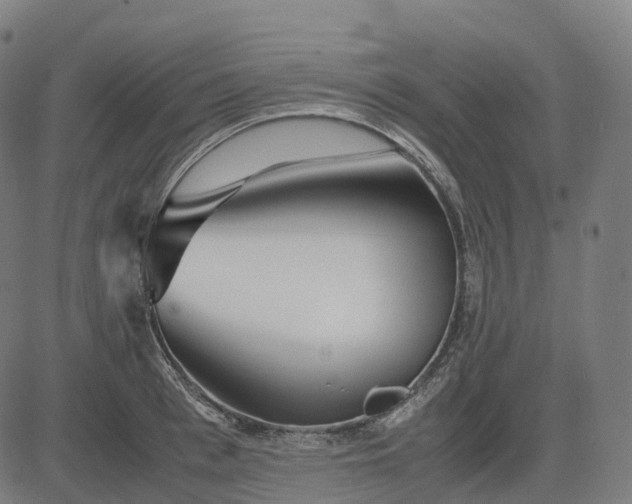 X0000083060993200702161752