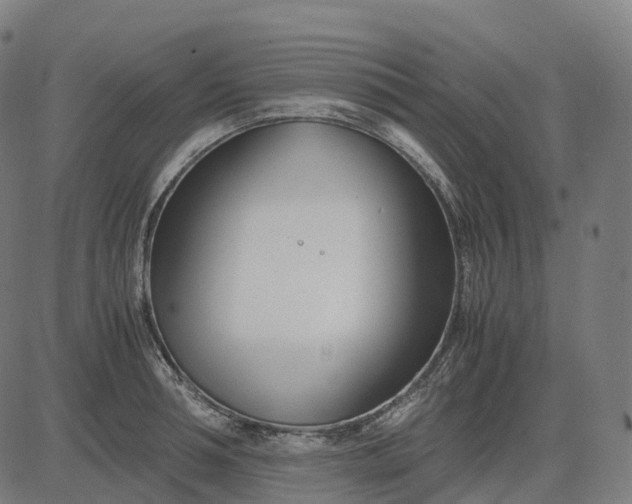 X0000083060994200702161752